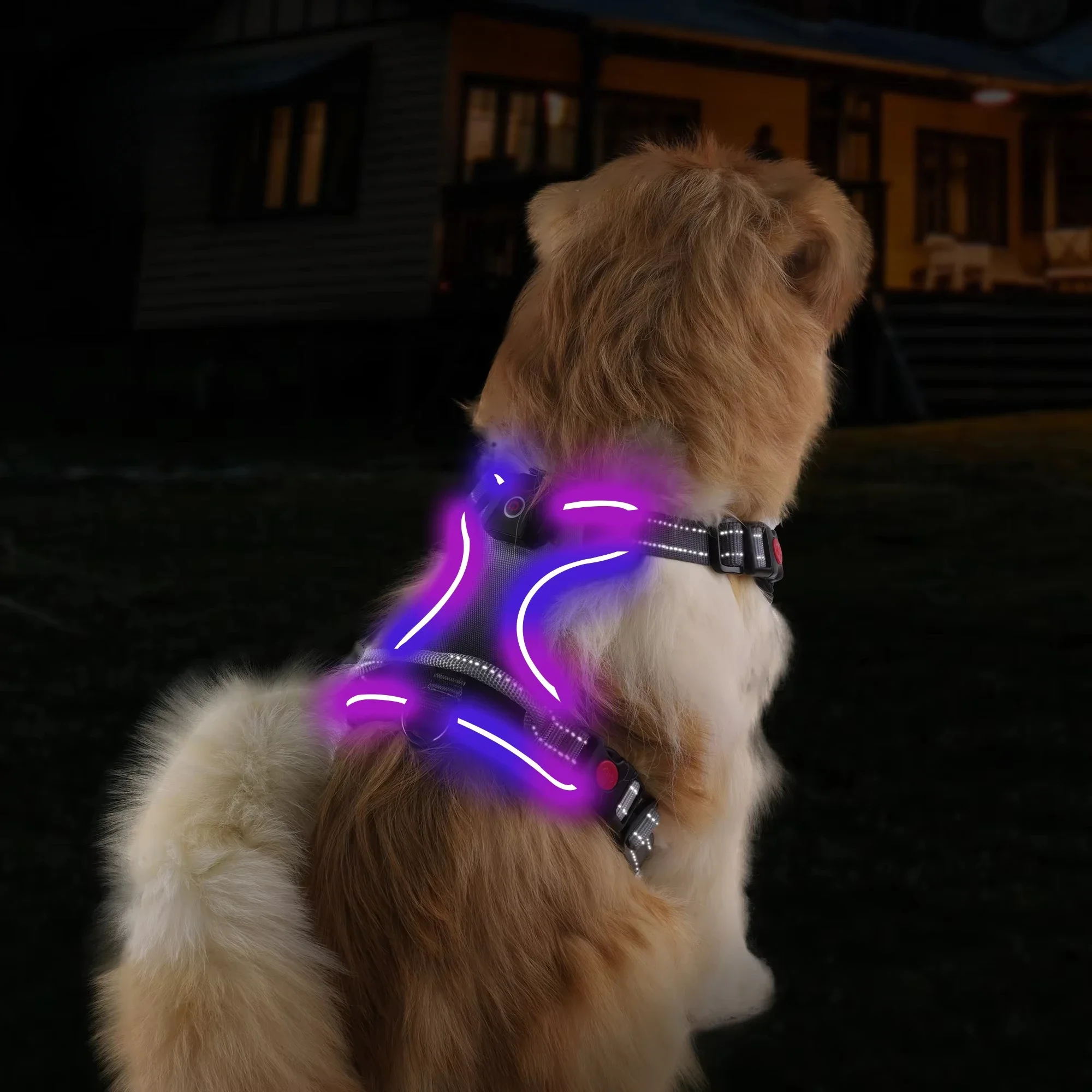 2025 New Led light Dog Harness Vest Custom LOGO Tactical Safety Usb Light Up Led Dog Harness Rechargeable for Large Pet