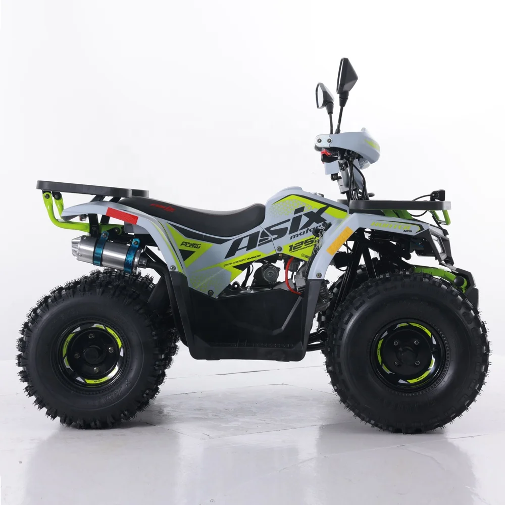Tao Motor 2024 New ATV 125 Cheap Chinese Automatic Chain Drive Farm ATV 125cc ATV