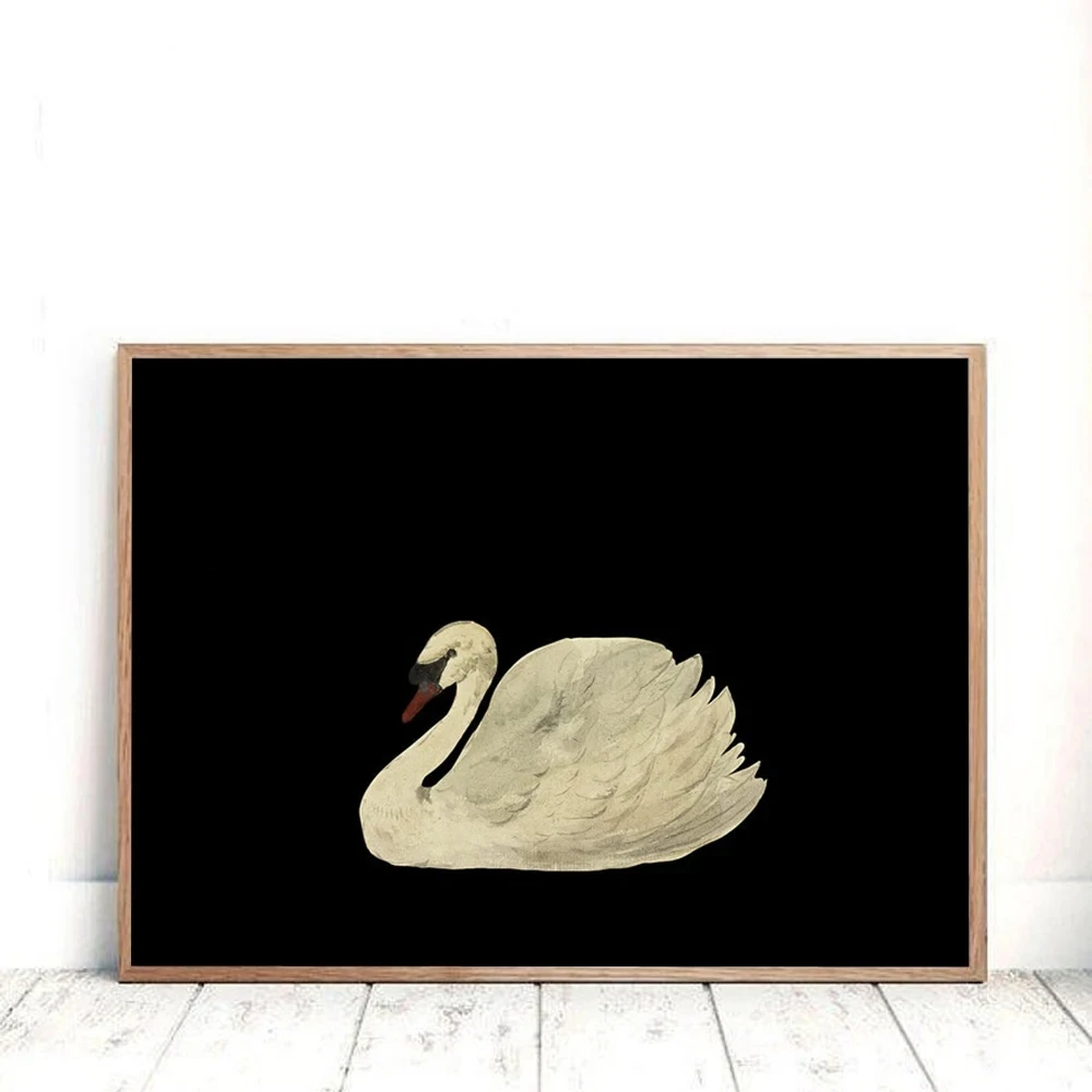 Black White Antique Swan Poster Print Canvas Painting Minimalist Vintage Wall Art Pictures for Living Room Home Decor