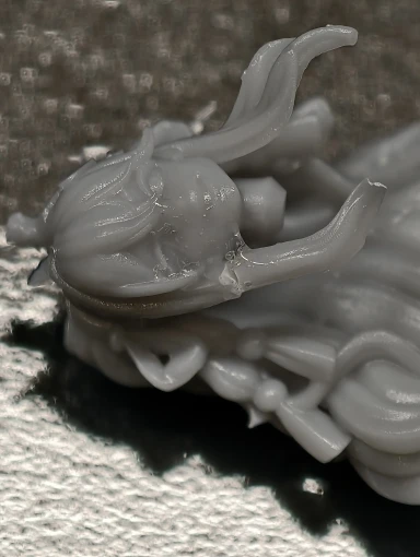 Buyer photo of this resin kit