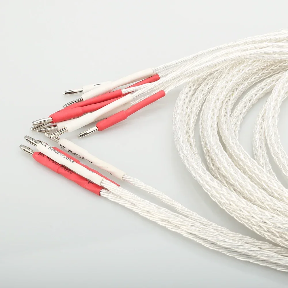 Cavo per altoparlante Biwire HI-End da 2 a 4 OCC placcato argento 8AG HIFI Spina a banana Cavo per altoparlante Biwire per Audiophille