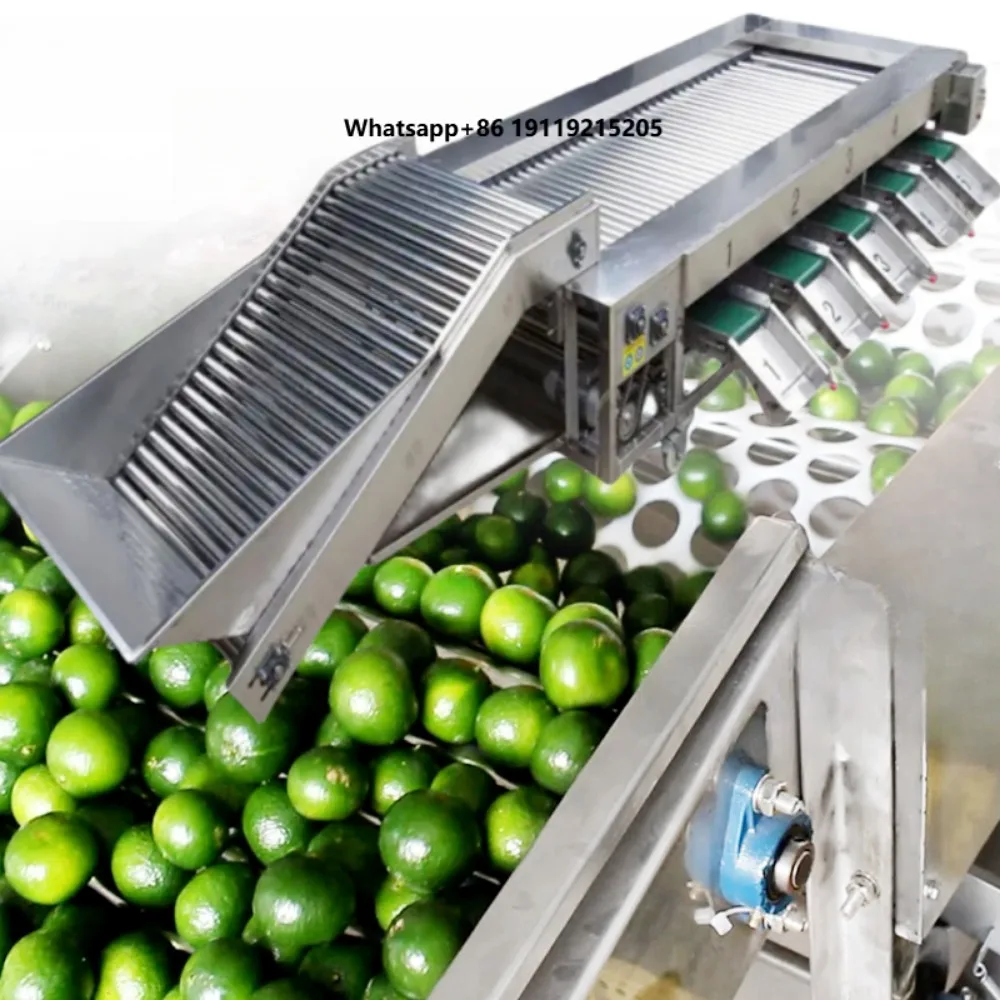 Fruit and Vegetable Sorting and Grading Machine,products Sizer,fruit Sorting and Grading Machine