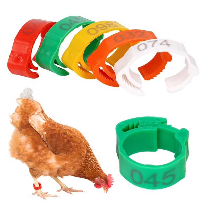 10-50PCS High-quality Chicken Foot Ring 5 Colors Numbered Identification Leg Rings Clip For Poultry Chickens Ducks Geese Parrot
