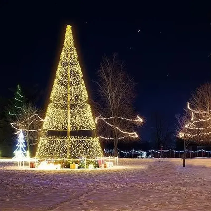 Waterproof IP65 Street Square Decoration Light Emitting Diode Outdoor Light Flagpole Arched Christmas Tree Light