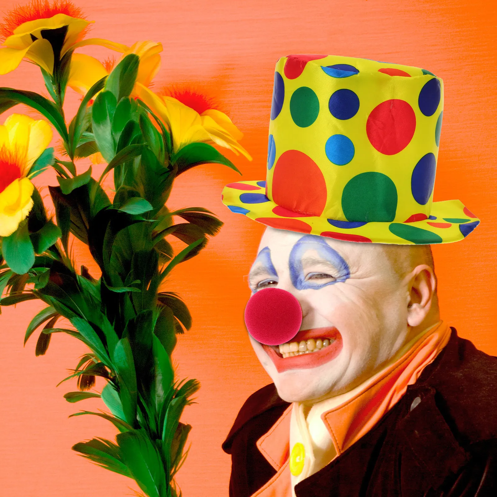 

Комплект из 2 предметов: костюм клоуна (шляпа, нос) – забавные аксессуары для вечеринок для детей, женщин и мужчин. Реквизит для Хэллоуина, Рождества, дня рождения, косплея.