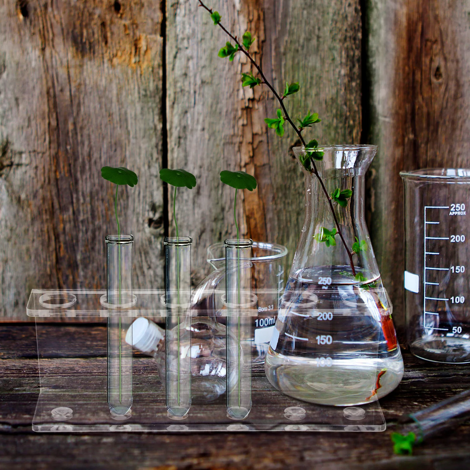 

6 Hole Hydroponic Test Tube Rack Acrylic Transparent Display Storage Stand Wear Resistant Term Use Stable Placement