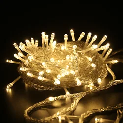 6M Holiday Led Christmas Lights Outdoor LED String Lights Garland Fairy Holiday Lighting for Wedding Party Garland Decoration