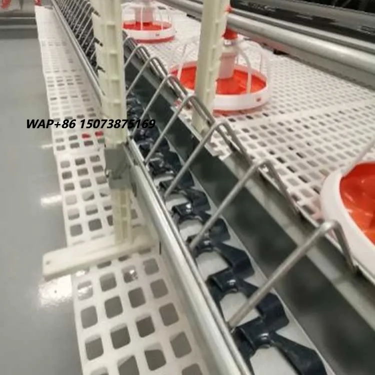 Broiler Parent Stock Breeder Automated and Feeder Machine Chicken Farm Equipment Hens Poultry Chain Feeding System