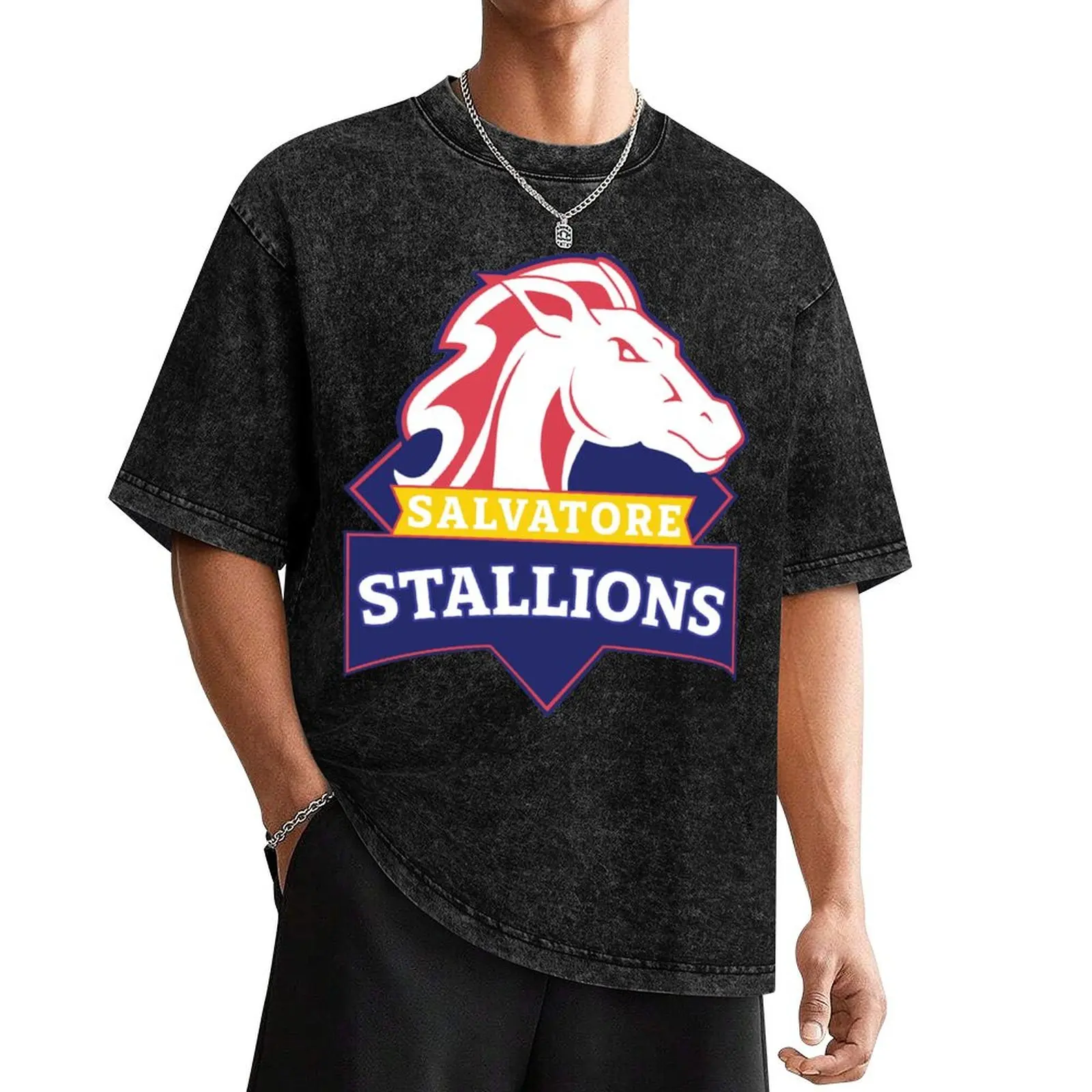 Salvatore Stallions - Legacies / TVD / The Originals T-Shirt cheap stuff vintage t shirts mens t shirt