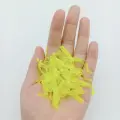 10pcs ST001 HUANG