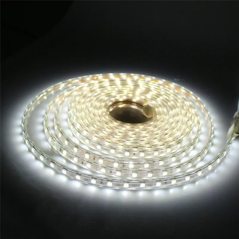 Waterproof LED Strip Light AC 220V 5050 60Leds/m Flexible Tape Lamp Indoor Outdoor Warm Cool White Red Blue Green Pink Home Rope