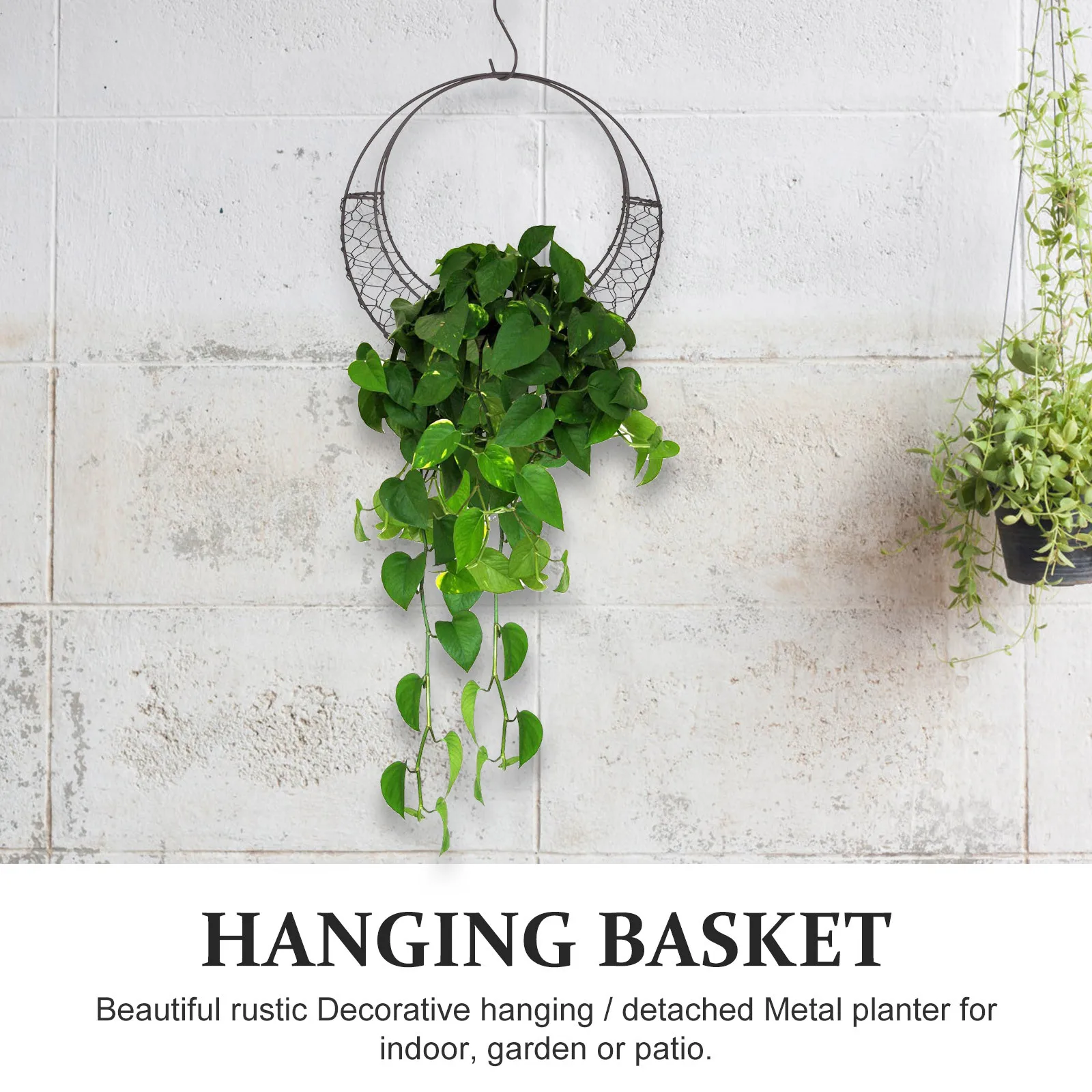 

Hanging Planter Basket Metal Wire Succulent Holder Moon Style Plant Hanger Frame For Indoor Outdoor Garden Decor