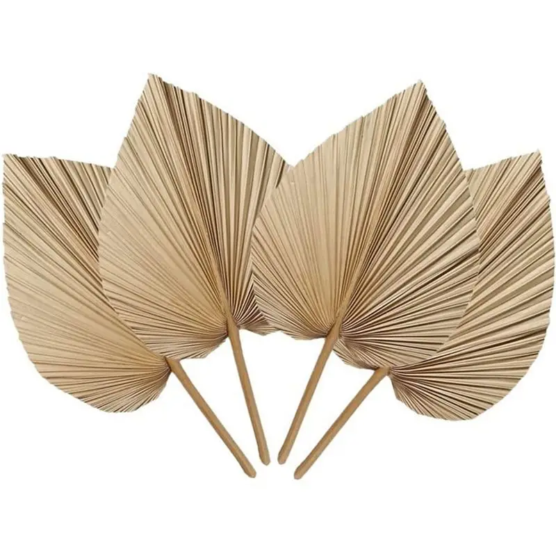 ABZF 2026 4 Pieces Natural Dried Palm Leaves are Perfect for Palm Leaf Decor, Boho Decor, Home Decor, Wedding