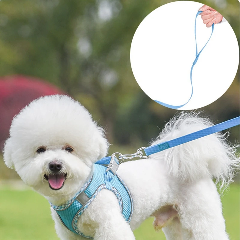 Soft Mesh Dog Harness and Leash Set Reflective Breathable Escape Proof Vest with Safety Buckle for Small Medium Dogs Cats