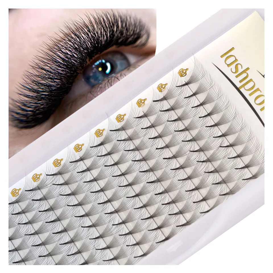 

Lashprofessor Premade Volume Fans 5D 6D 8D Cashmere Natural Eyelash Extension Individual Lashes Mink False Lashes Makeup Cilios