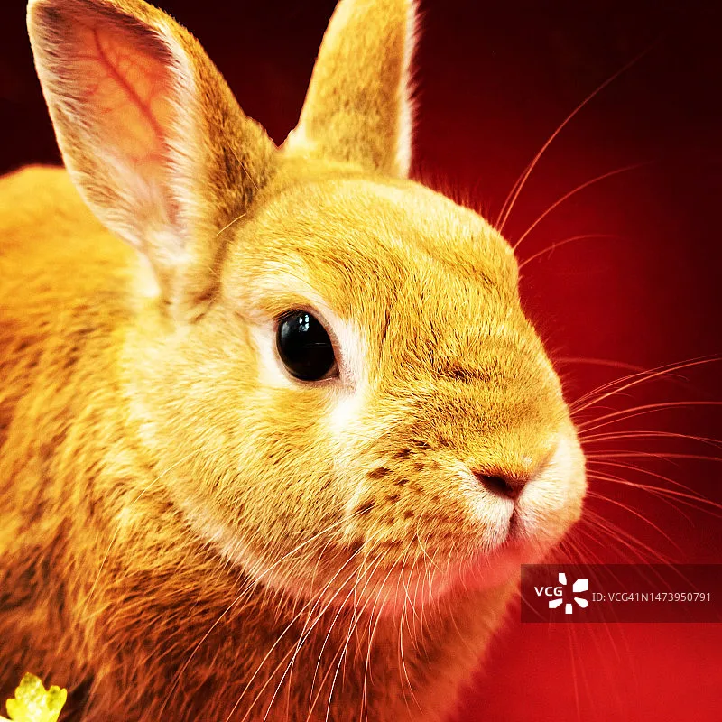 

EMAX Tinyhawk III RTF Kit – гоночный FPV-дрон, полетный контроллер F4, мотор 15000KV, видеопередатчик 25-100-200 мВт, 1-2S, FrSky D8 с контроллером и очками