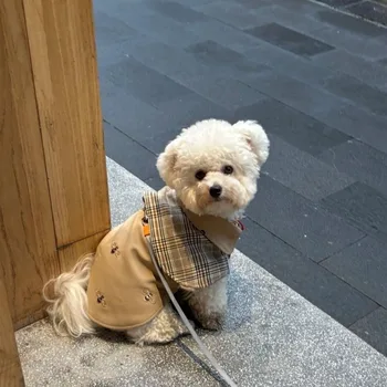 Vintage Plaid Detective Dog Cape 1