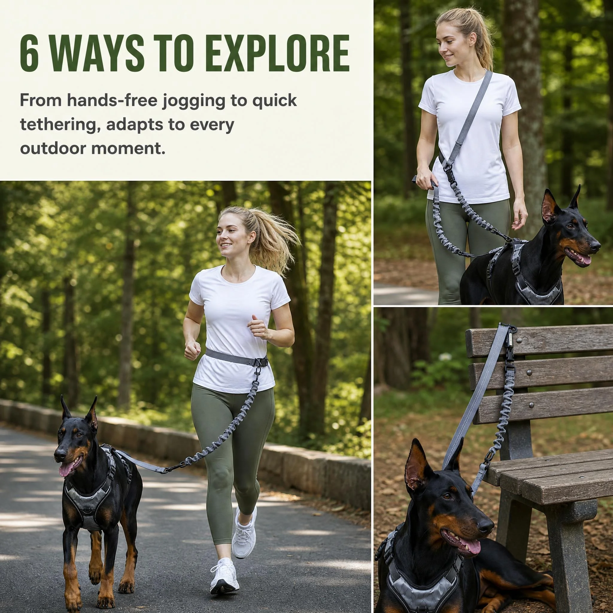 Correa para Perro 6 en 1 con A - Bungee Dog Leash Shock Absorbing reseña y precio