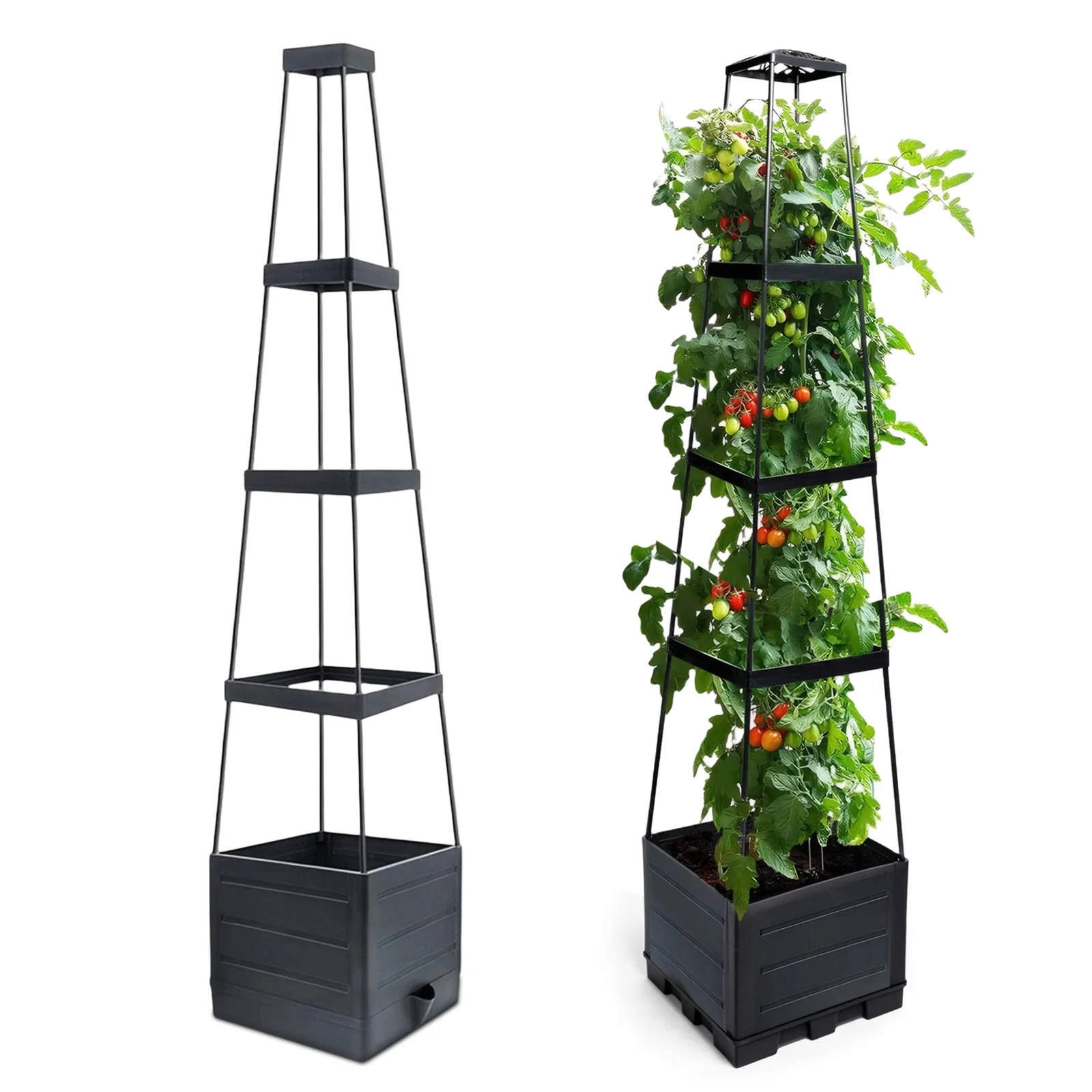 Raised Garden Bed Planter Box with Trellis Self-Watering Tomato Cage for Climbing Plants Flowers Vegetables Vine in Patio Garden