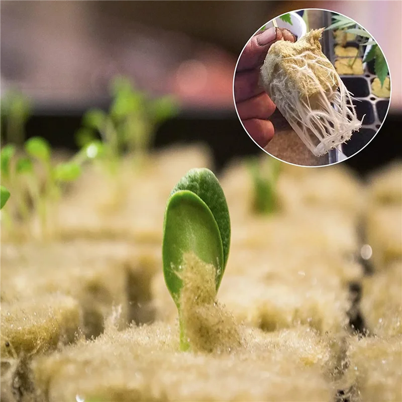 A19F-50Pcs de lana de piedra, medios de cultivo hidropónico, cubos de inicio, cubos de plantas, sustrato sin suelo, tapón de lana de roca semilla, bloque de plántulas