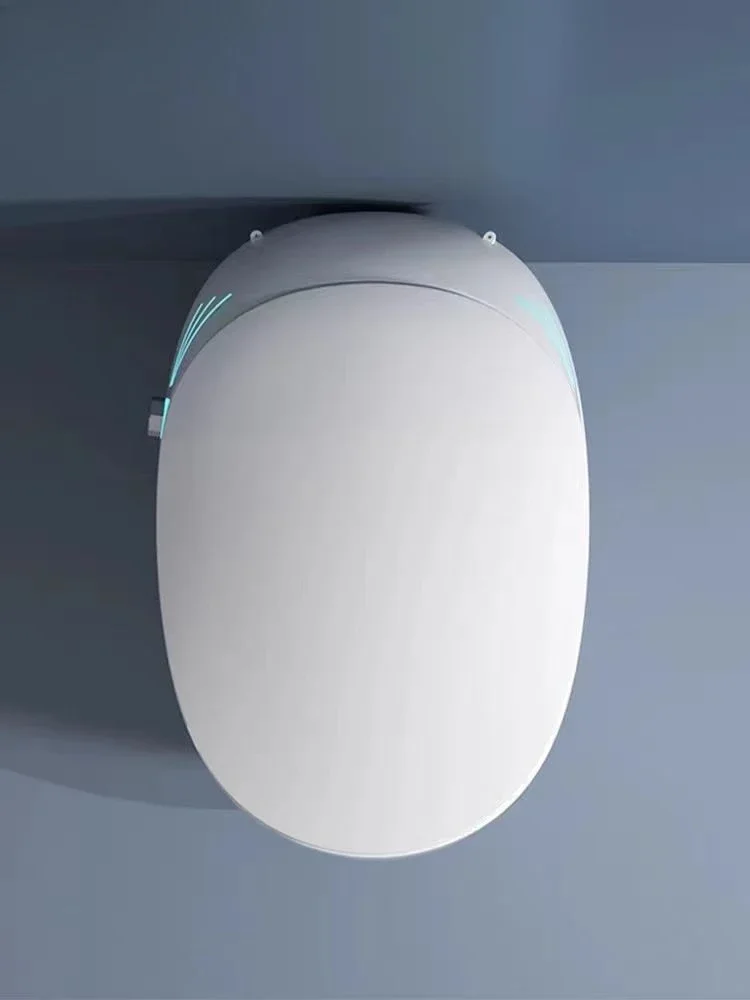 High Quality Orange Grey Color Electric Automatic Self Cleaning Integrated Egg Shaped Intelligent Smart Toilet