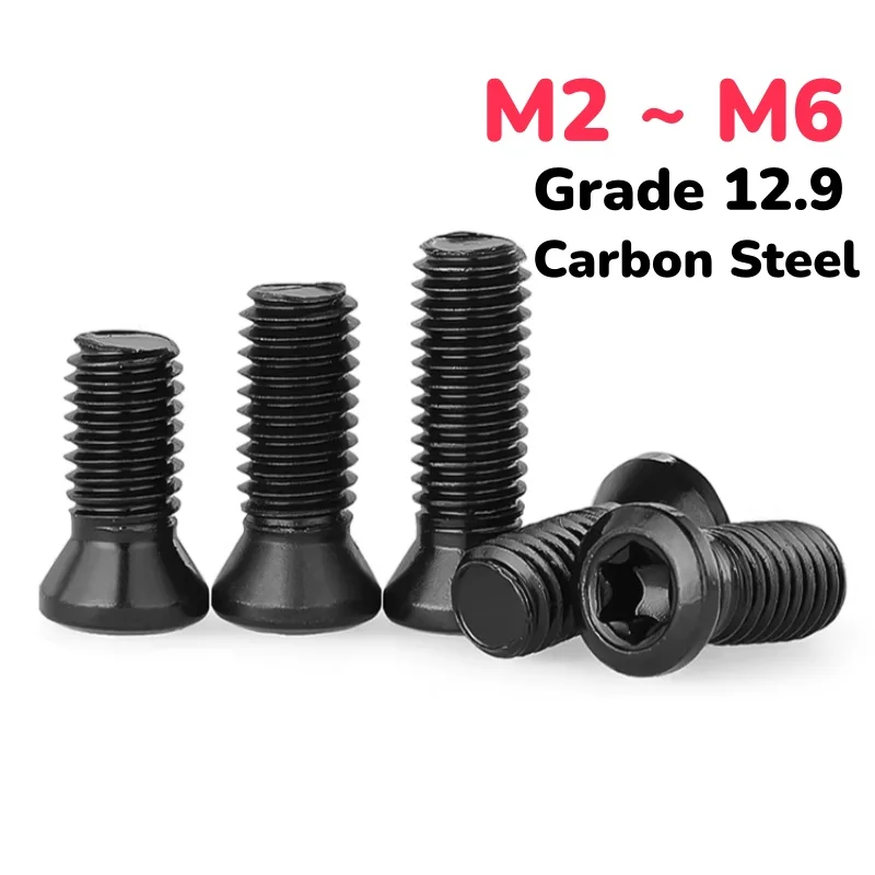 M2 M2.2 M2.5 M3 M3.5 M4 M5 M6 Grade 12.9 For Replaces Carbide Inserts CNC Accessories Lathe Tools Holder Bolt  Insert Torx Screw