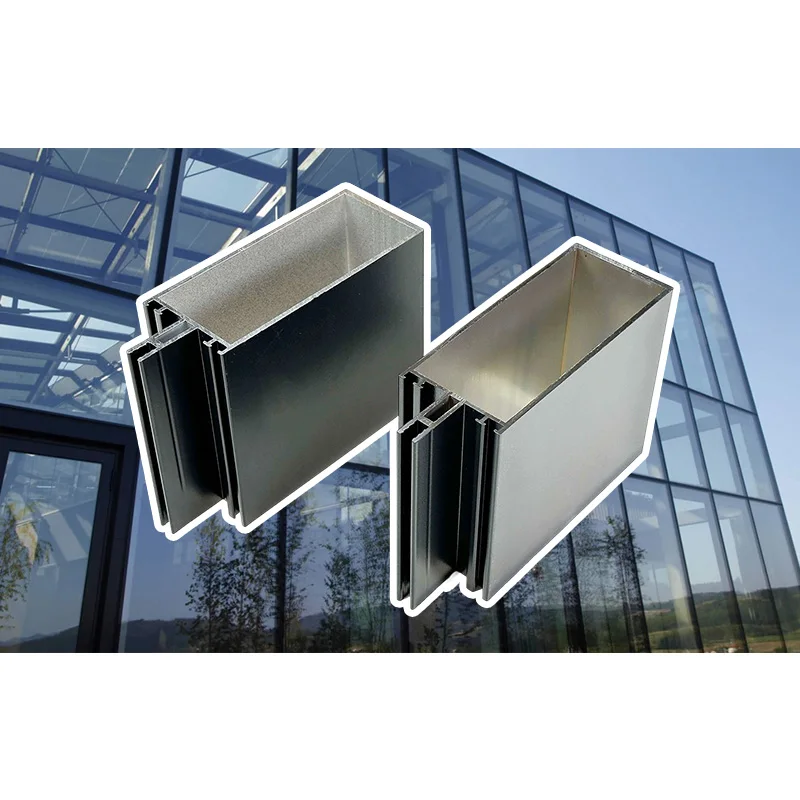 التخصيص الشركة المصنعة ستارة الألومنيوم جدار الملف الشخصي ملفات بثق الألومنيوم للنافذة والباب 6061 ملفات سبائك #1