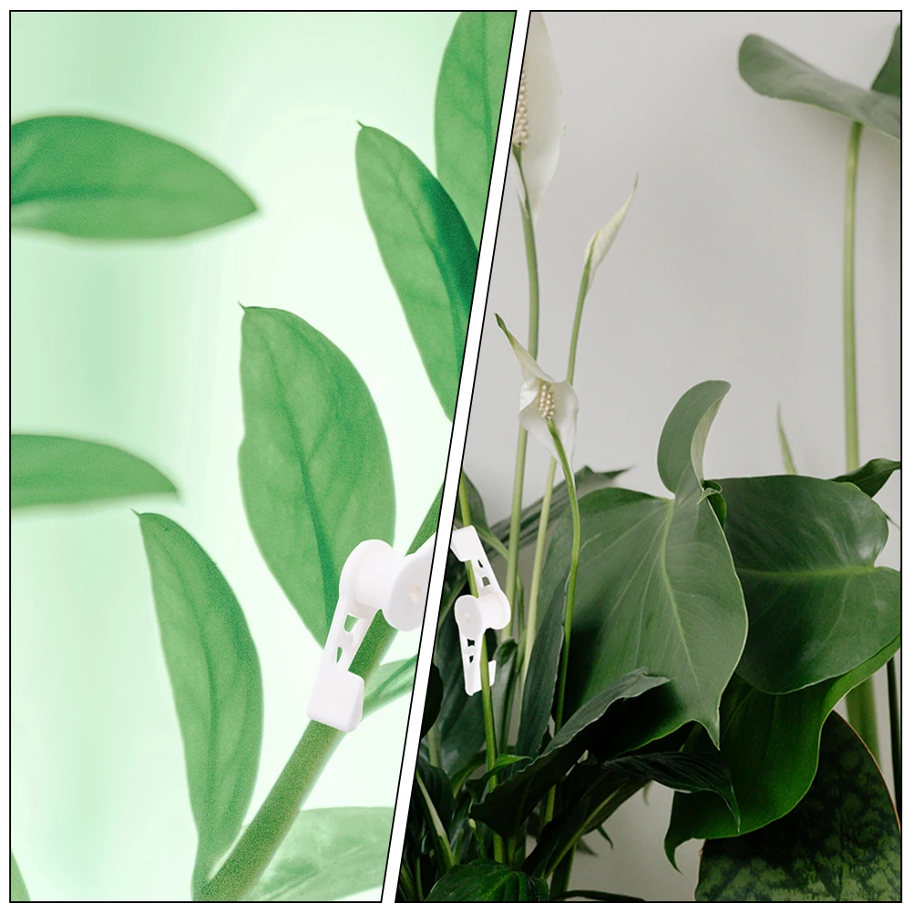 

40pcs Adjustable Clips Plastic Bending for Branch Fixing Shaping Support Horticulture Planting Training Tools