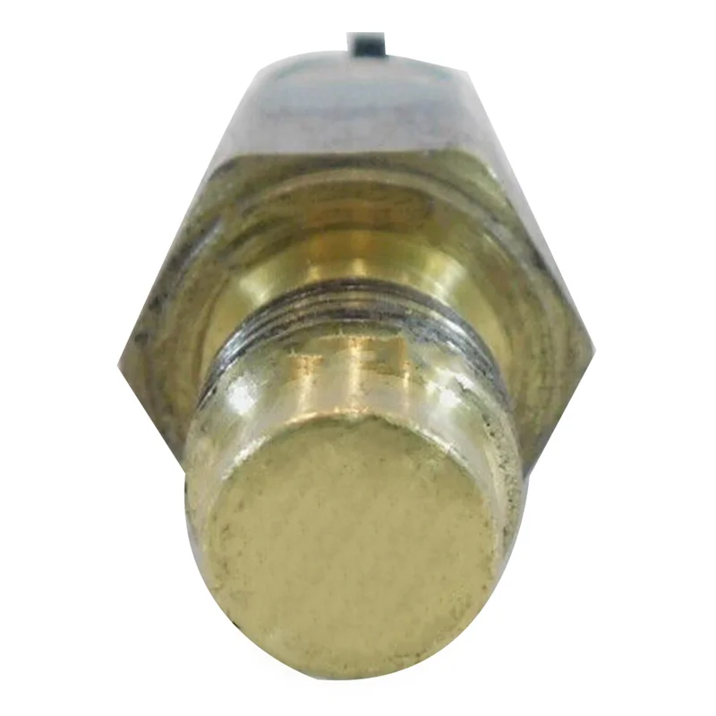 

Motorcycle Temperature Sensor For Davidson Vtwin Road King Fat Boy Dyna Sportster 883 32446-99