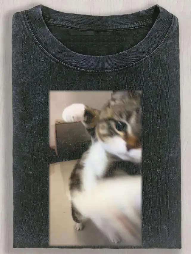 Funny Cat Meme Shirt Acid Washed Graphic Tee Men Retro Blurry Cat Punching T Shirt Vintage Heavyweight Cotton Streetwear Top