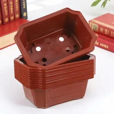 

10Pcs Plastic Bonsai Pot Classic Rectangular Flowerpot for Small Plants Cactus Ferns Home Garden Decoration Reusable Planting