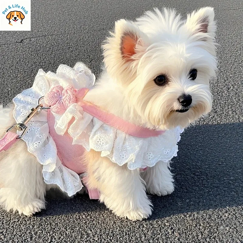 

Поводок для собак регулируемый, для маленьких собак, для прогулок, летняя одежда для кошек, товары для животных, одежда для кошек.