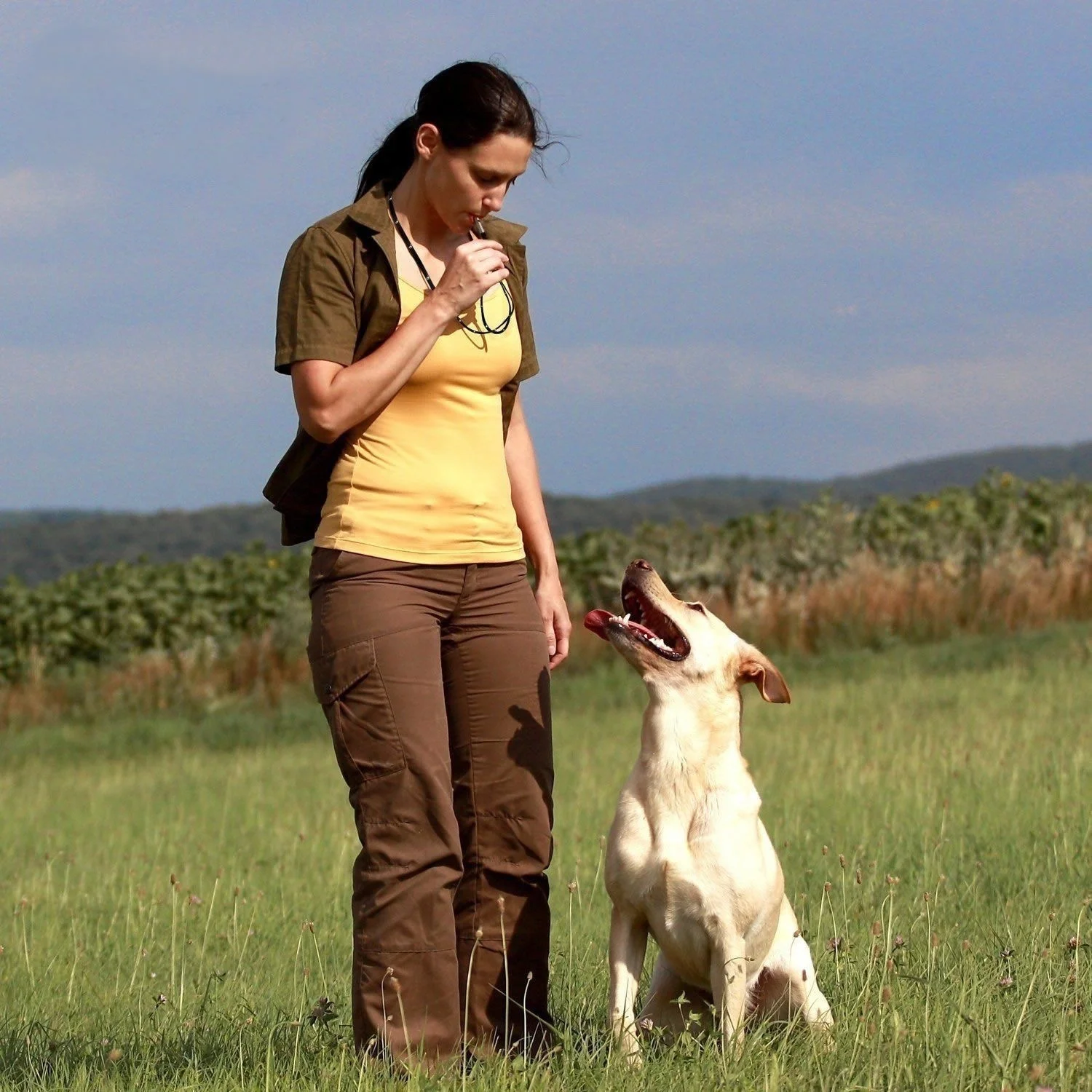 Thumbnail 3 - #8 Ranked Dog Training Whistles Picks in 2026
