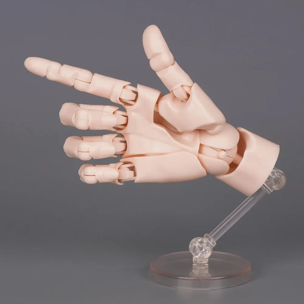 Menschliches Handmodell im Maßstab 1:2, Mini-Größe, verdrehtes Ei-Design, Handflächenmodell mit beweglichen Fingern, beweglichen Gelenken, beweglichen Fingergelenken – Detail 11