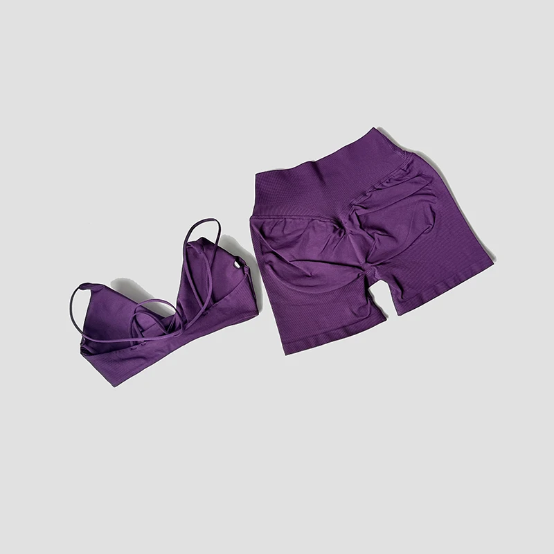 WAREBALL 2-teiliges Gym-Set für Damen: Vision Twist Front BH mit V-Ausschnitt und Cross-Waist Quick Dry Shorts – Ideal für Pilates, Workout, Laufen und Fitness – Detail 18