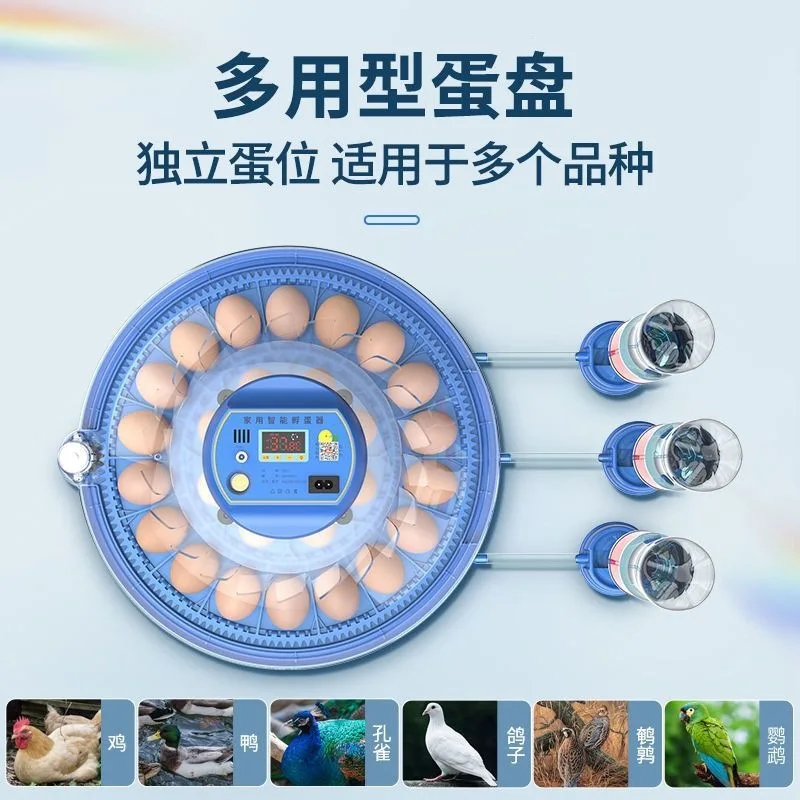 Egg incubator, incubator, small household smart, fully automatic machine for hatching chicks, parrot, bird egg, mini flying sauc
