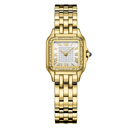 Relojes para mujer, relojes cuadrados clásicos para mujer con números romanos Reloj de vestir informal para mujer, reloj de cristal premium para mujer