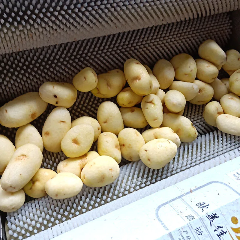 Potato Cleaning and Peeling Machine Cassava Carrot Potato Cleaning Machine