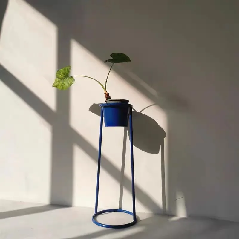Blue flower stand, floor-to-ceiling indoor simple plant flower pot rack