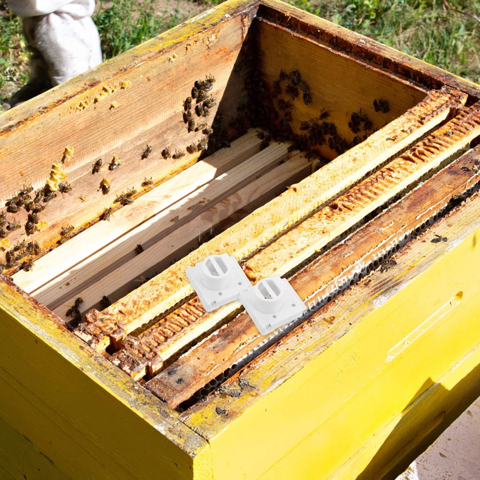 

4Pcs Plastic Hive Entrance Reducer Beehive Anti-Escape Door Guard Easy Install Beekeeping Equipment Hive Protector