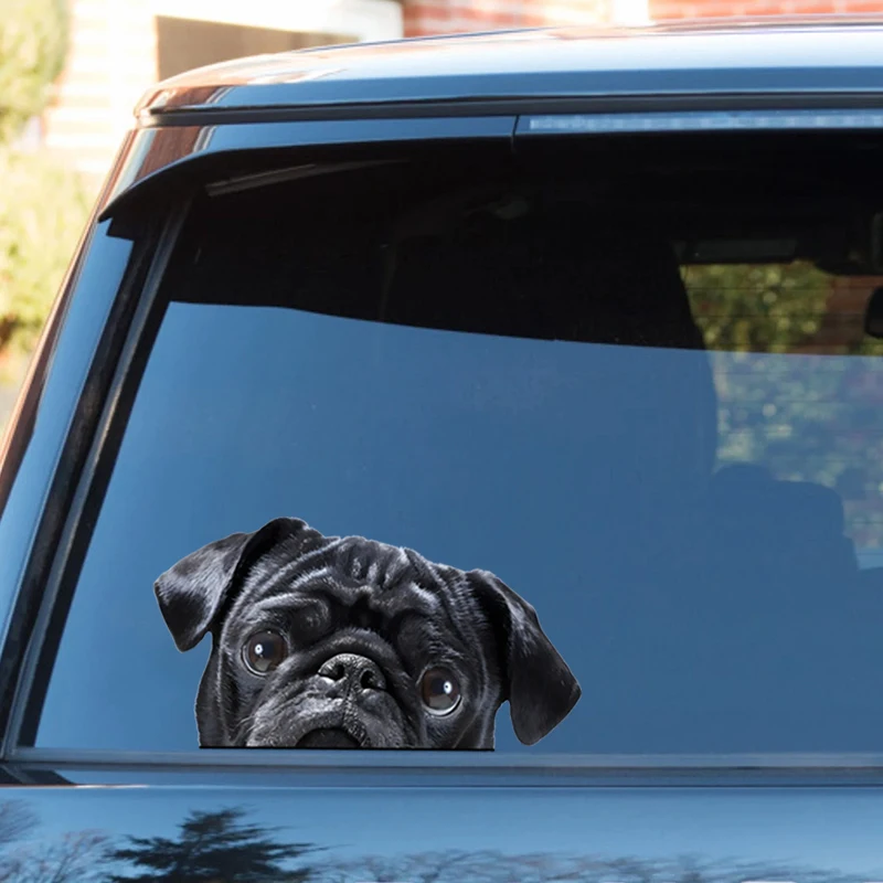 DK179#17x9cm Peeking Black Pug Car Decal Creative Waterproof Car Stickers Vinyl Decal Motorcycle Decorative Accessories