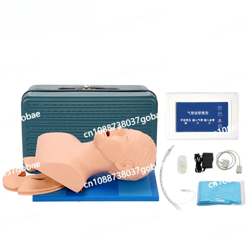 Electronic Human Tracheal Intubation Model Oral Nasopharyngeal Adult Airway Emergency Medical Nursing Training Mannequin