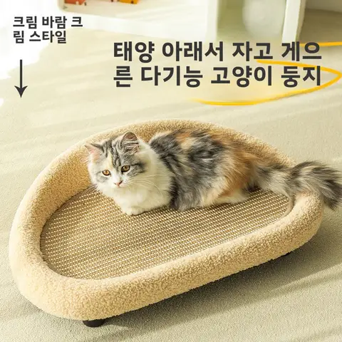 개 CDV CPV 디스템퍼 파보바이러스 테스트 용지 키트, 레이드 스트립 카드, 애완견 가정 병원 클리닉 감지 용품, 셀프 체크 Best5 8 고무질 고양이 잠자기장 고양이 잠자기장 고양이 칼라 소재 고양이 잠자기장 고양이 잠자기장 칼라 소재 고양이 잠자기장