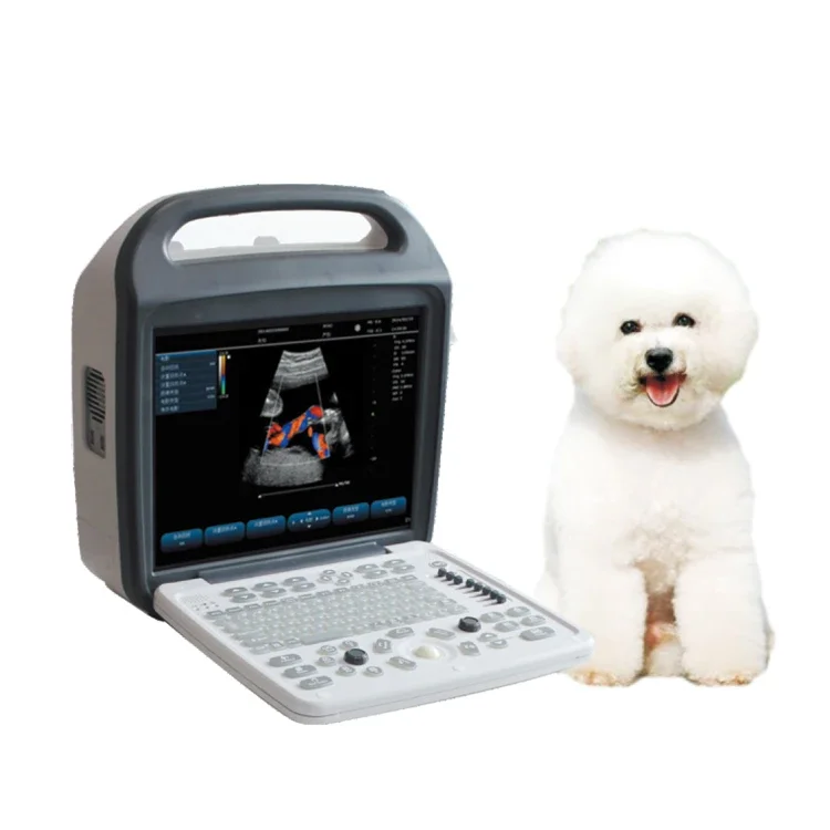 Low price Laptop Veterinary Ultrasound Scanner VET Full Digital  Ultrasonic  Diagnostic  System