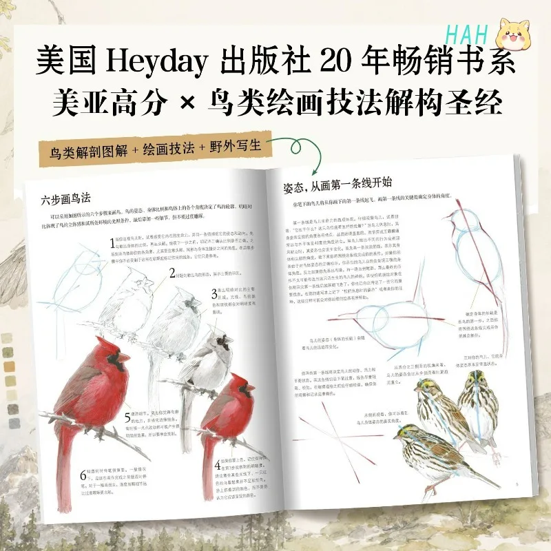The Laws Guide To Drawing Birds Art Instruction Book Chinese Version Beginner's Drawing Tutorial HM Store