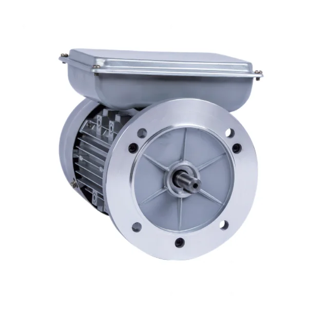 AC Single phase 0.06KW ~ 4KW 2POLE 4POLE 3000RPM 1500RPM 50HZ 60HZ 110V 220V 230V double capacitor IP54