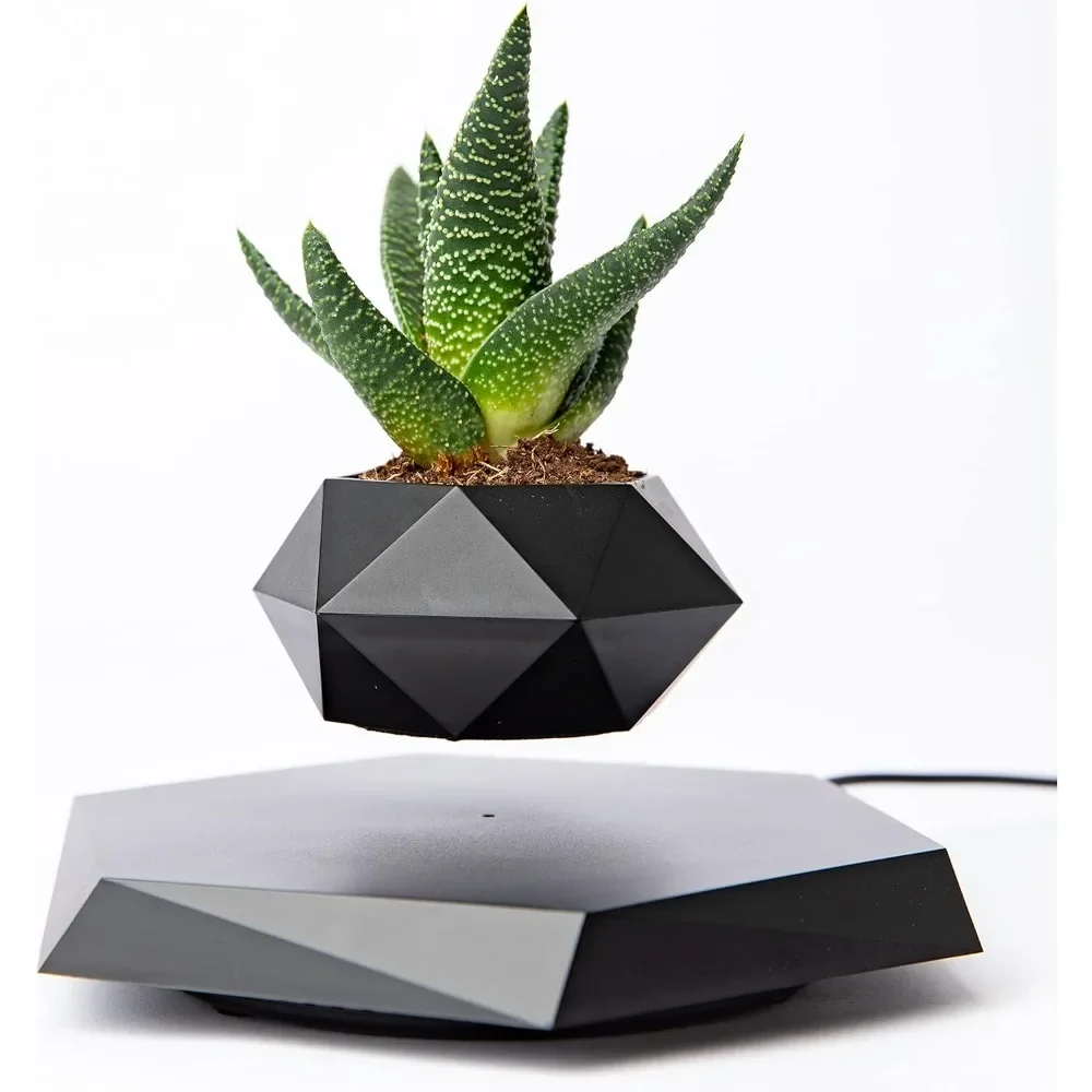 Levitating Plant Pot - Floating Plant Pot for Small Plants. Levitating Decor for Home & Office Magnetic