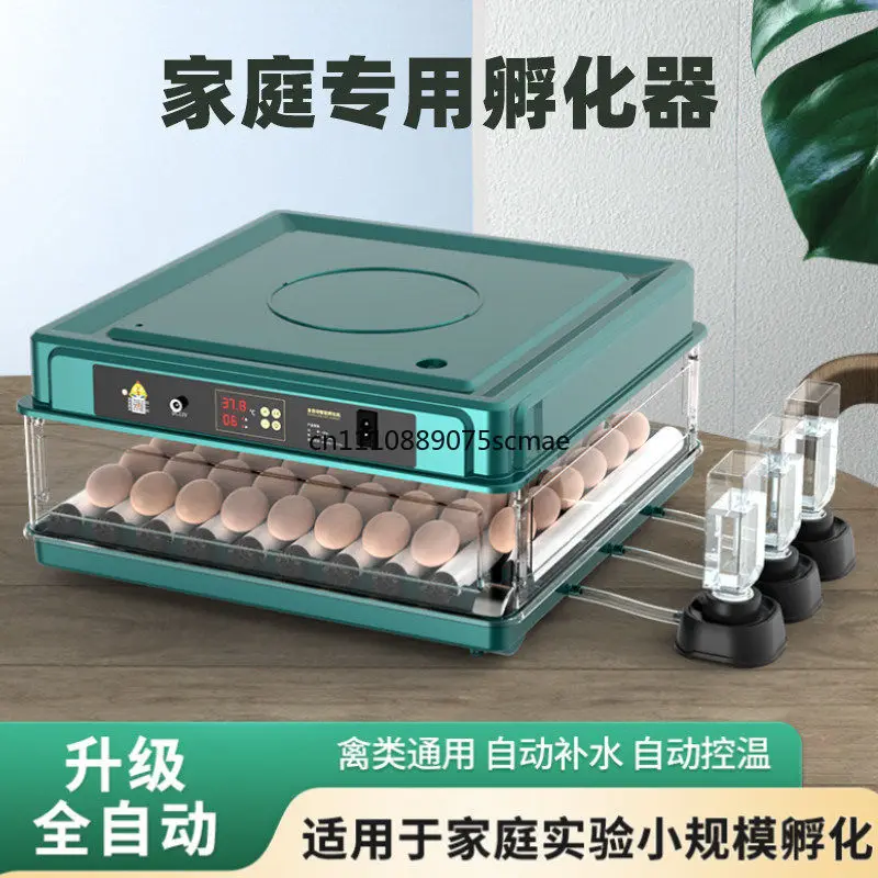 

Small Fully Automatic Smart Incubator Household for Chicken Duck Goose Quail Rutin Chicken Egg Hatching