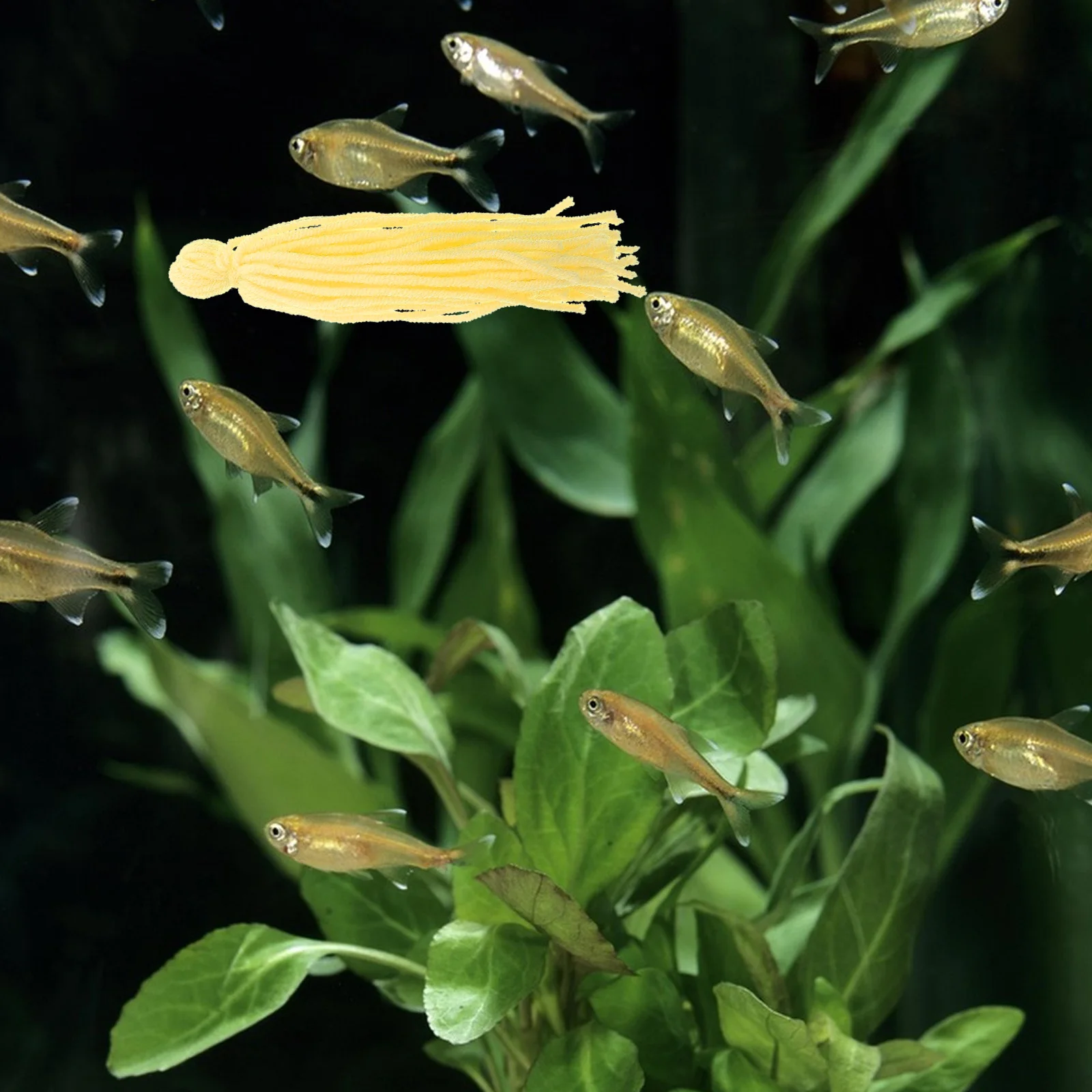

10pcs Mop Woolen Yarn For Angelfish Shrimp Aquarium Tank Breeding Tool Spawning Mops Fish Tank Supplies Hideout Container Spawn