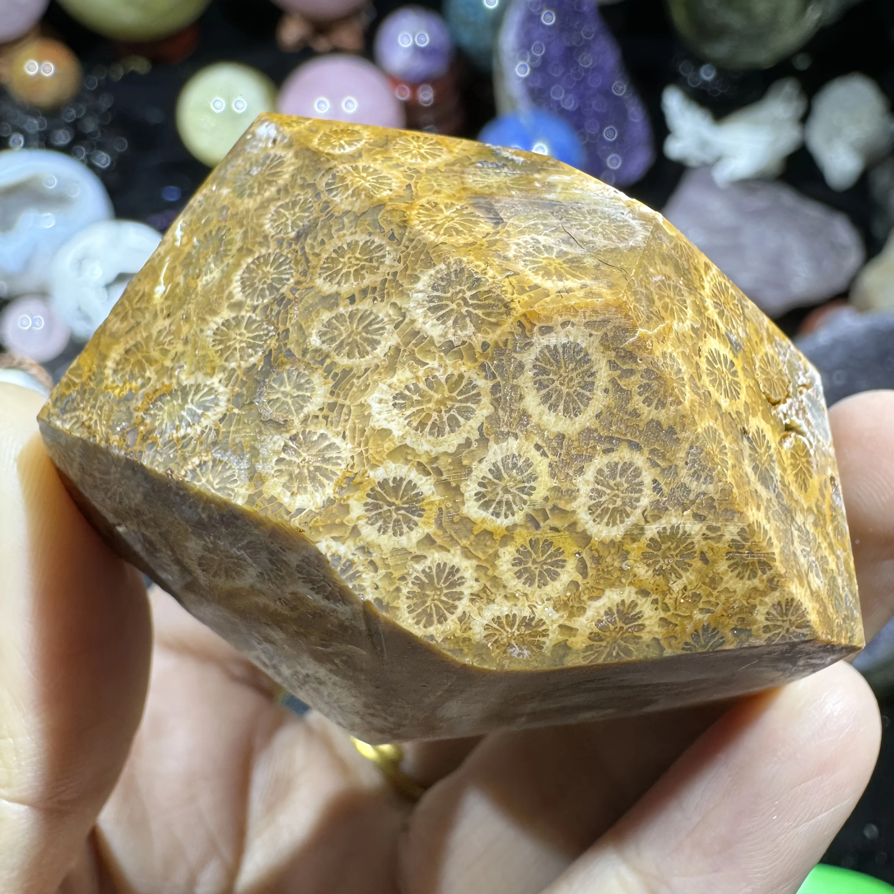 One high-quality coral jade piece | Free-form,unique pattern,irregular shape,perfect for jewelry and home décor,healing crystals